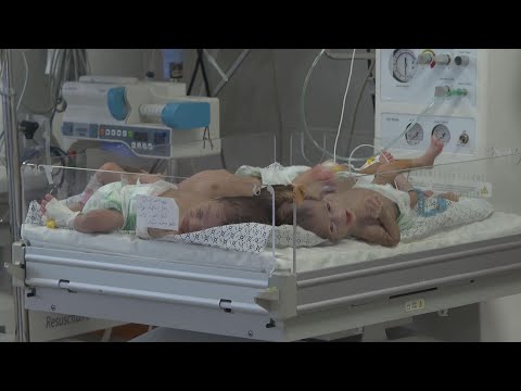 Gaza mothers reunite with babies amid evacuation