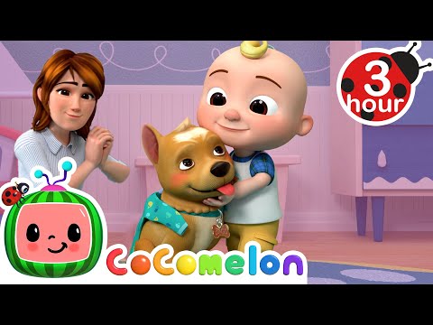 Learning to Take Care of Pets | Cocomelon - Nursery Rhymes | Fun Cartoons For Kids | Moonbug Kids