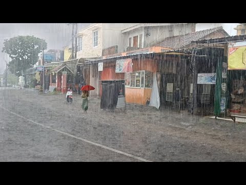 Beautiful rain in a remote Indonesian village | Gentle rain sounds for sleeping | Mother Nature