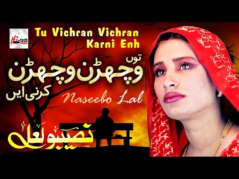 Tu Vichran Vichran Karni - Best of Naseebo Lal - HI-TECH MUSIC