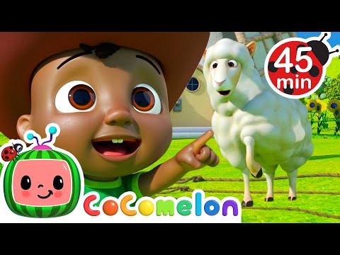 Can Cody Catch Ba Ba Black Sheep? | Cody and Friends! Sing with CoComelon