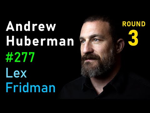 Andrew Huberman: Focus, Stress, Relationships, and Friendship | Lex Fridman Podcast 