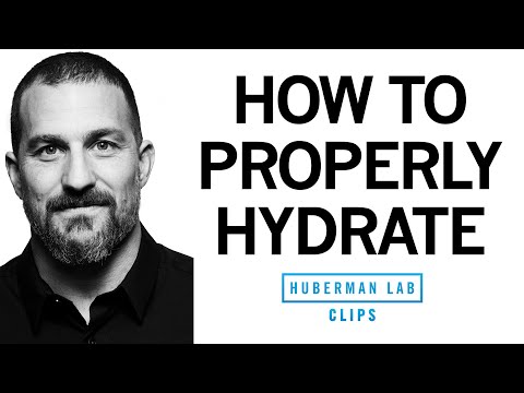 How to Properly Hydrate &amp; How Much Water to Drink Each Day | Dr. Andrew Huberman