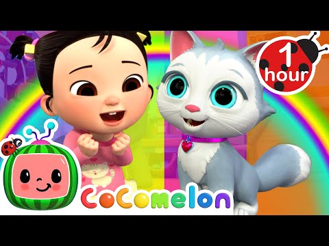 Cece had a Little Cat | CoComelon Nursery Rhymes &amp; Kids Songs