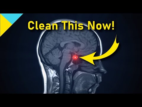 10100 Hertz: Heal Pituitary Gland ❯❯❯ WAIT TILL 6 Mins! &bull; Quantum Miracle Formula Frequency