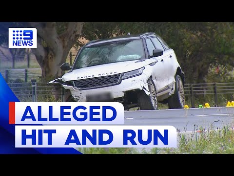 Man killed in alleged hit and run on Melbourne freeway | 9 News Australia