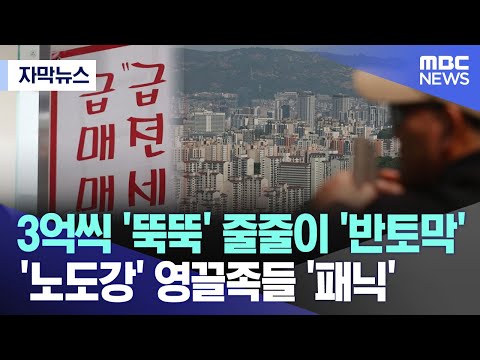 [자막뉴스] 3억씩 '뚝뚝' 줄줄이 '반토막'.. '노도강' 영끌족들 '패닉'(2023.12.24/MBC뉴스)