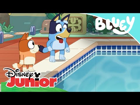 Bluey: Compilado | Disney Junior Oficial