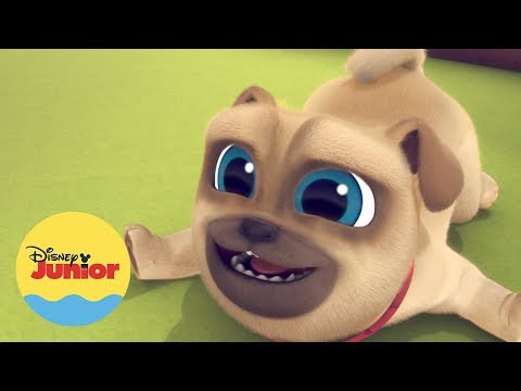 El Concurso de Baile | A Jugar con Puppy Dog Pals