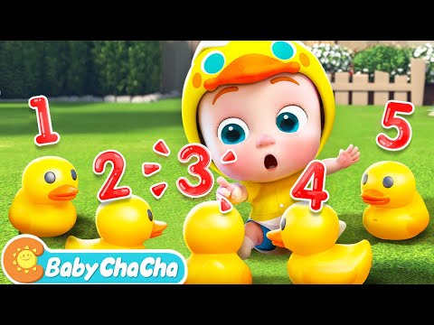 Five Little Ducks | Counting Song | Learn Numbers 1 to 5 | Baby ChaCha Nursery Rhymes &amp; Kids Songs