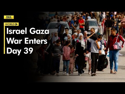 Israel Hamas War Day 39: Israeli Attacks Continues, Death Toll Reaches 11,000 In Gaza | World News