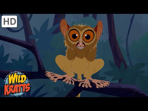 Creatures of Asia | Orangutans, Lizards, Monkeys + more! [Full Episodes] Wild Kratts