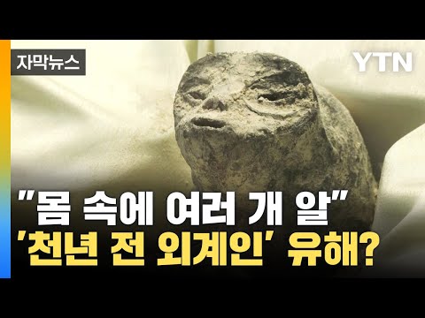 [자막뉴스] &quot;몸 속에 여러 개 알&quot; 미국이 숨기고 있는 외계인의 정체? / YTN