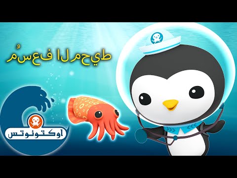 أوكتونوتس | ? مُسعف المحيط ? | حلقات مُجمّعة لـ&amp;quot;بيزو&amp;quot; | حلقات مجمعة