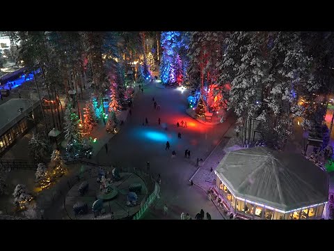 Fairytale Russian ice rink sees skaters meander through snowy pine forest