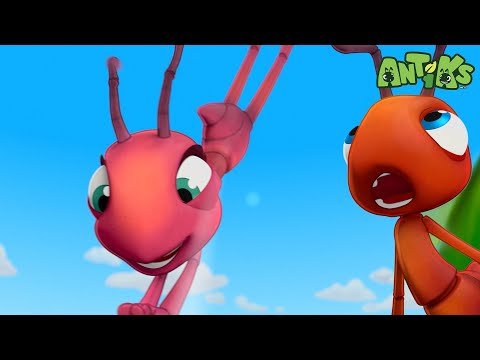 A Splashy Adventure! | Funny Cartoons For All The Family! | Funny Videos for kids | ANTIKS 🐜🌿