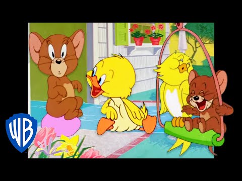 Tom &amp; Jerry | Birds of a Feather... Flock to Jerry 🐣 | Classic Cartoon Compilation | @WB Kids