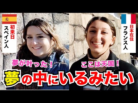 「日本には絶対に行きたいと思っていた！」外国人観光客にインタビュー｜ようこそ日本へ！Welcome to Japan!