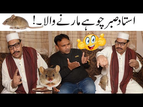 Tasleem Abbas and Soni Best Comedy Show | Ustad Sabr Chuha Wala | 