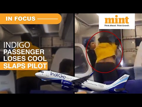 Viral Video Of Indigo Passenger Slapping Pilot Due To Flight Delay | Dense Fog Alert In Delhi