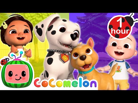 Bingo's Puppy Play Date with JJ and Nina | CoComelon Nursery Rhymes &amp; Kids Songs