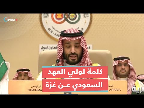 ولي العهد السعودي محمد بن سلمان يؤلمنا ما تشهده غزة وندعو لإقامة دولة فلسطينية وفق حدود 1967