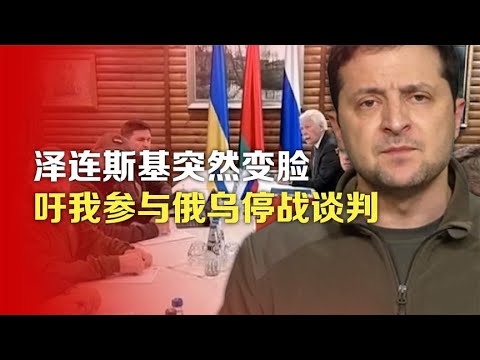 司马南：泽连斯基突然变脸，呼吁我参与俄乌停战谈判