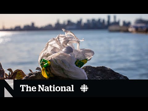 Federal Court overturns national single-use plastics ban