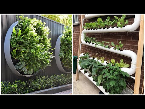 Beautiful vertical garden ideas! 50 examples to implement on your garden plot!