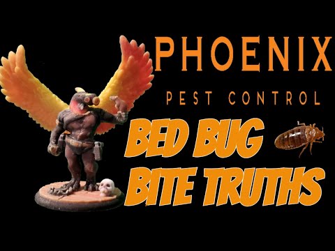 Bug Bites If it's not Bed Bugs what is it? Delusional Parasitosis and Folie a' Deux 