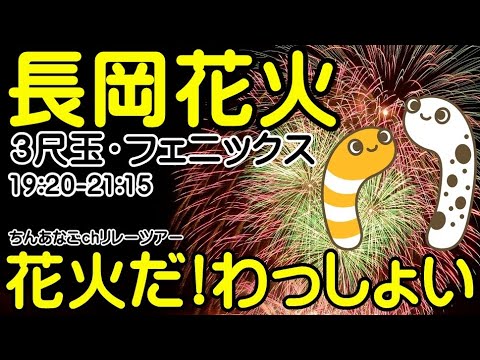 長岡花火ライブ 花火だ！わっしょい！