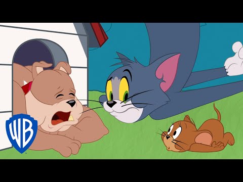 Tom &amp; Jerry | Getting Rid of the Bad Tooth | WB Kids