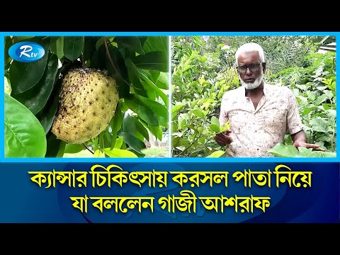 করসল পাতার রস কী ক্যান্সার প্রতিরোধী? Corsal leaf | Cancer | Rtv News