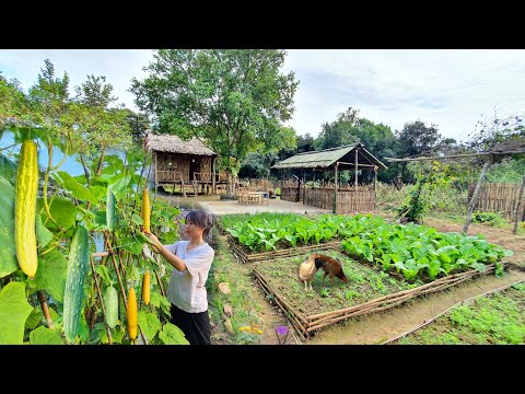 Full Video: 75 Days of farm life, Gardening, Farming, Cooking, Animal Care | Sơn Th&amp;ocirc;n