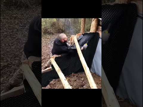 Building a long cabin in the forest/