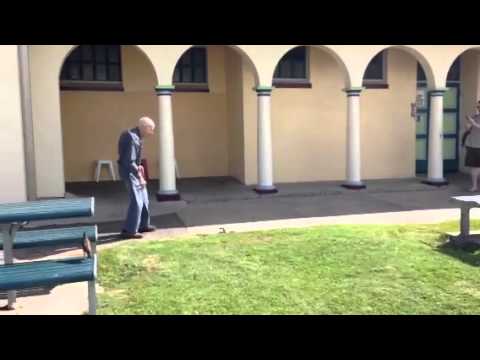 Funny old man kicks a venomous Eastern Australian Brownsnake right in the face! Must see! (Original)