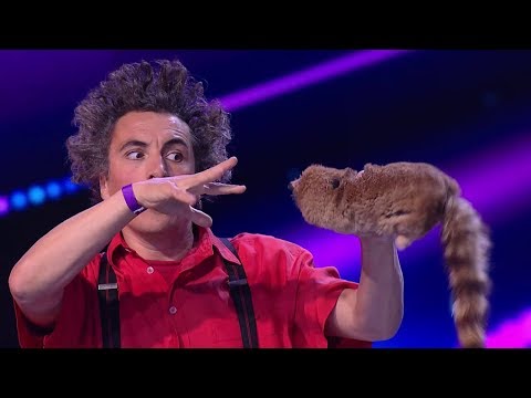 ČESKO SLOVENSKO M&Aacute; TALENT 2019 - Elastic