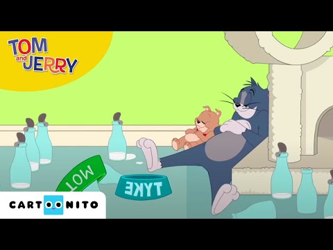 Tom și Jerry | Ca o pisică | Cartoonito