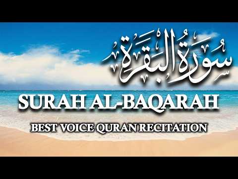 &amp;quot;Surah Al Baqarah: Divine Guidance for Life's Journey&amp;quot;