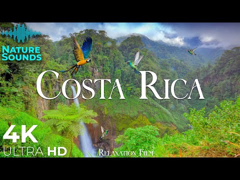 Costa Rica &bull; Forest 4K Relaxation Film &bull; Peaceful Relaxing Music &bull; Nature 4k Video UltraHD