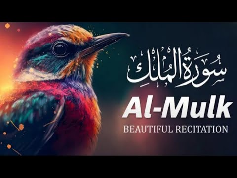 Surah Mulk | Epi 30 | Surah Mulk With Text | Surat Al Mulk | Surah Mulk Relaxing Recitation