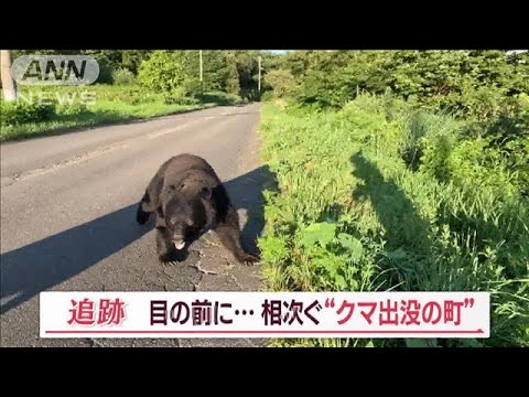 &amp;ldquo;クマ出没の町&amp;rdquo;相次ぐ　目の前に遭遇&amp;hellip;「8頭同時侵入」も　カメラが捉えた一部始終【Jの追跡】(2023年11月4日)