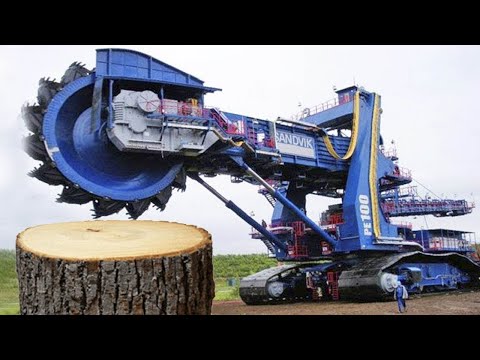 Amazing Fast Stump Removal Excavator Is So Satisfy, Stump Grinding Machines &amp; Wood Crusher Working