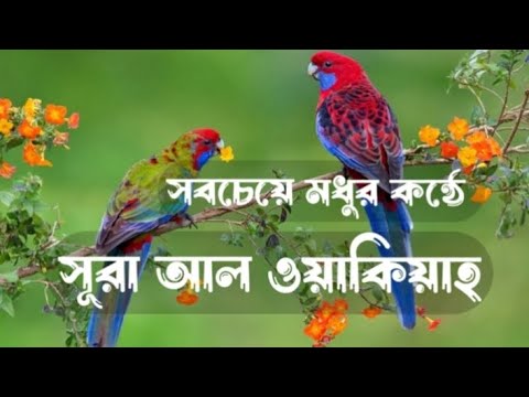 সূরা আল ওয়াকিয়াহ(Surah Al oyakiyah) এই দোয়াটি অবশ্যই শুনবেন আপনার মন ভালো করে দেবে ইনশাআল্লাহ❤️ 🕋❤️