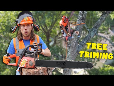 Tree Trimming | Chain Saw, Bucket Truck and Wood Chipper | Handyman Hal Tree Service