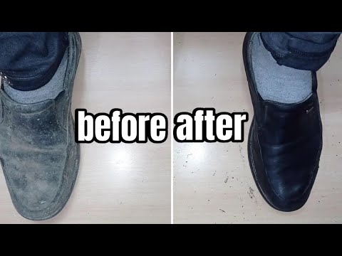 experience the best shoe shine