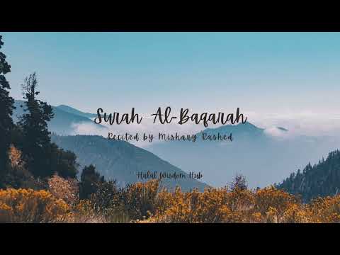 Complete Surah Al-Baqarah by Mishary Rashed | Majestic Quranic Recitation 🌙