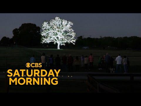 Pecan tree decorated for Christmas draws visitors from hundreds of miles away