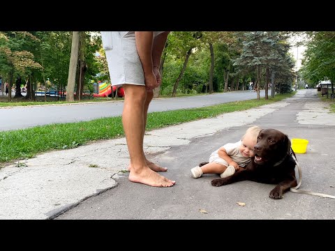 Funny Reaction! Adorable Baby Boy Refuse To Go Home Because...