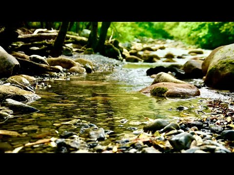 Gentle Trickling Water - 3 hours - No Music